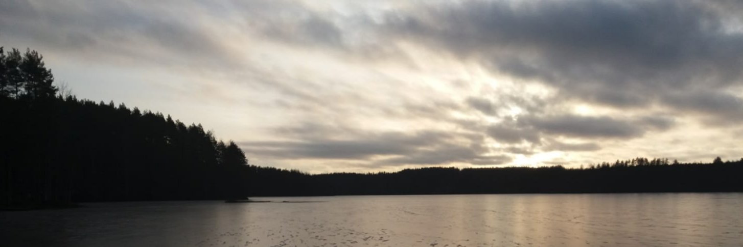 MinnaKoljonen's profile banner image