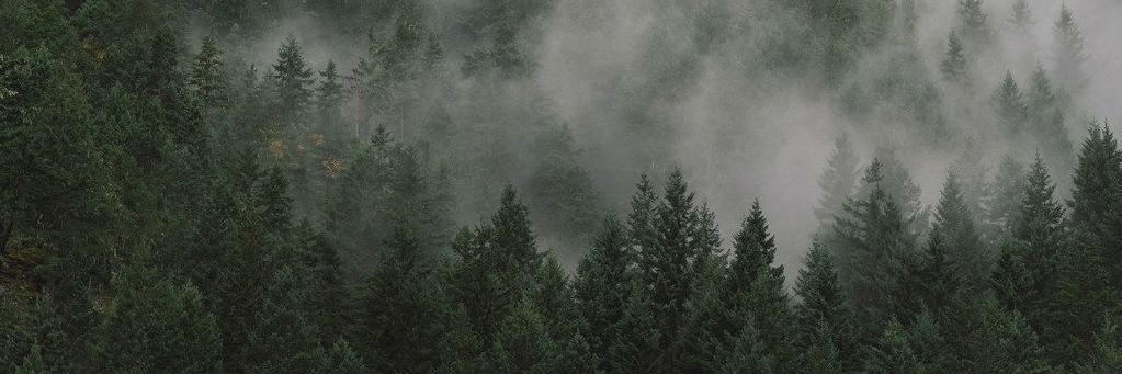 jasper_deer's profile banner image
