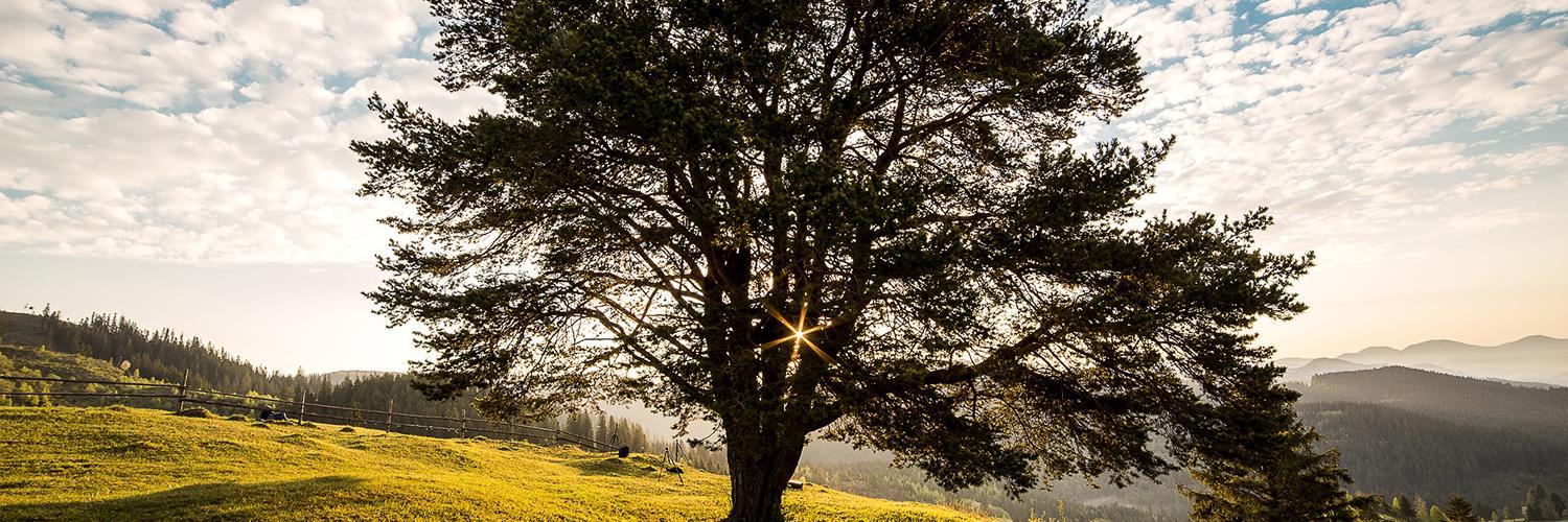 MaryPugh23's profile banner image