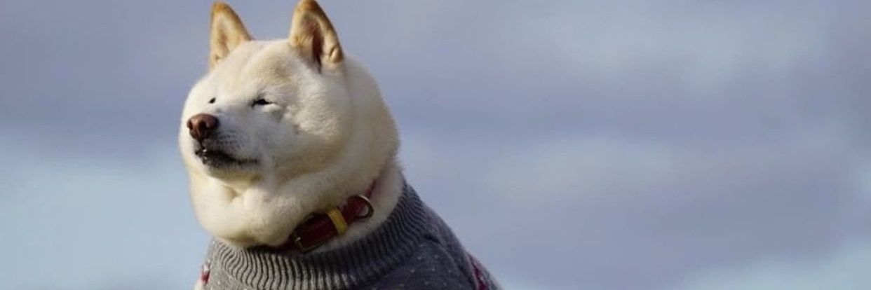 ElCornelyan's profile banner image