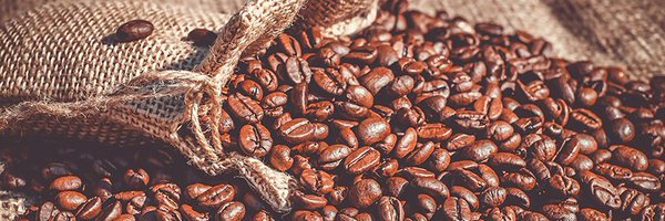 johnwatt_son Profile Banner