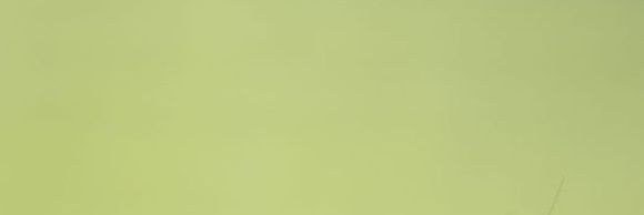 mnzelujr's profile banner image