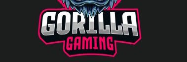 GuerillaGunga's profile banner image