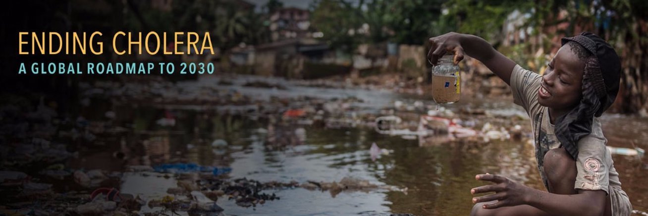 GTFCC Secretariat banner