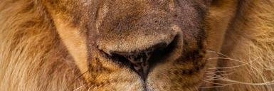 hectoraariasc's profile banner image