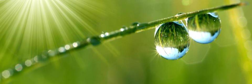 GerardBoekhoff's profile banner image