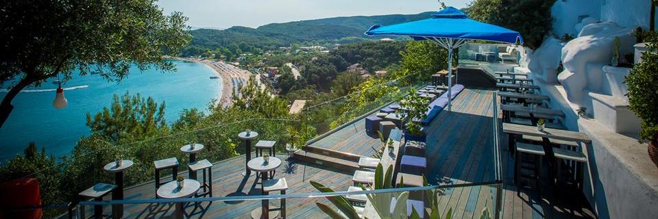 medparga's profile banner image