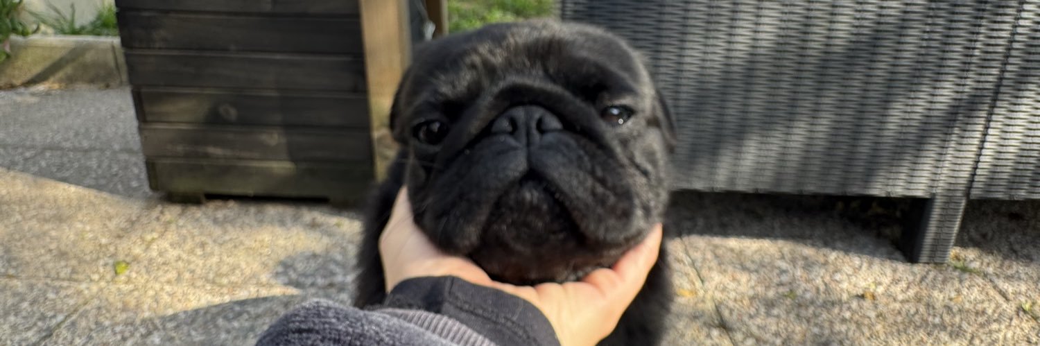 _flavvvv's profile banner image