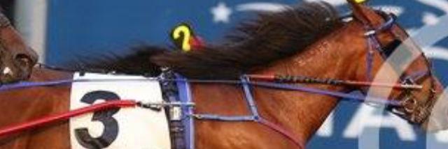 blake macintosh banner