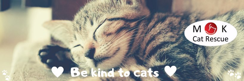 mkcatrescue's profile banner image