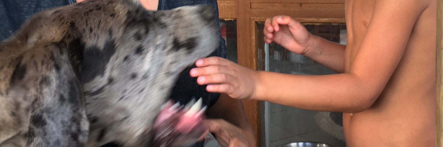 ptitxa's profile banner image