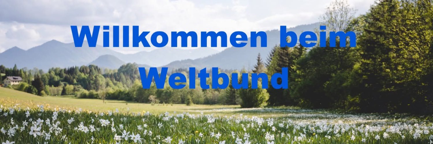 weltbund's profile banner image