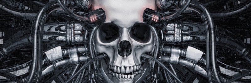 FlyingDutchm_n's profile banner image