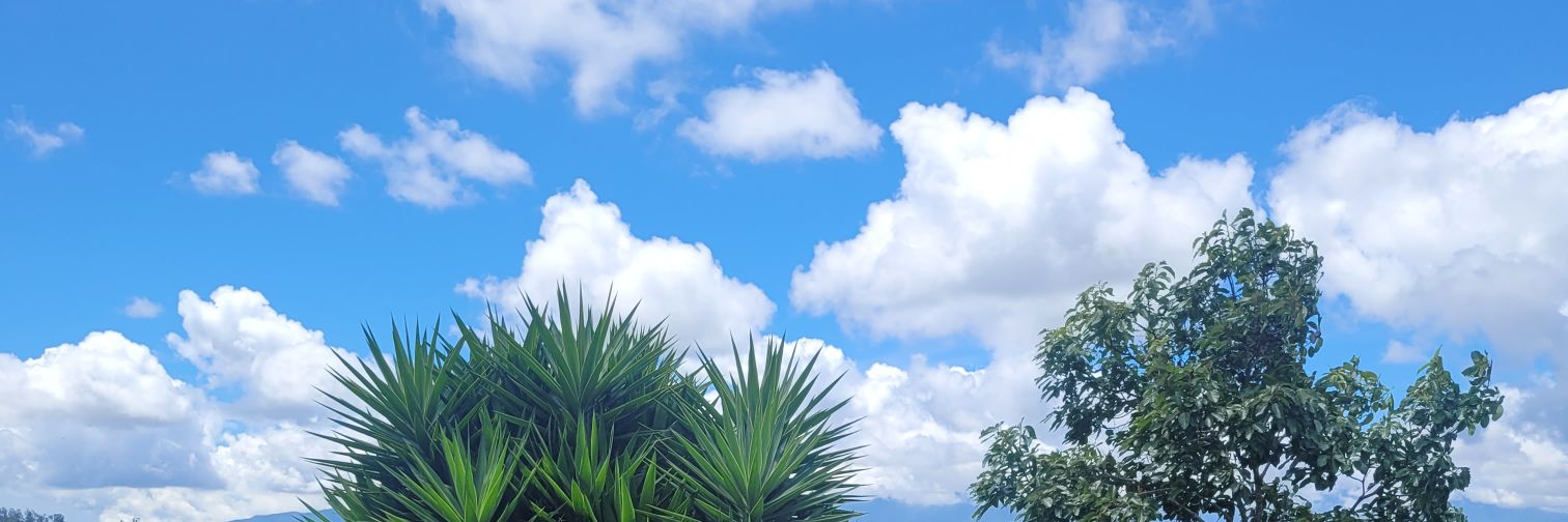 Jesus ❤️ banner