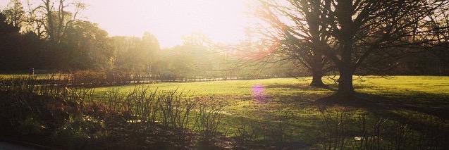 RegentsParkCyclists banner