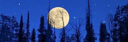 McLovinThaGoat 🐐 banner