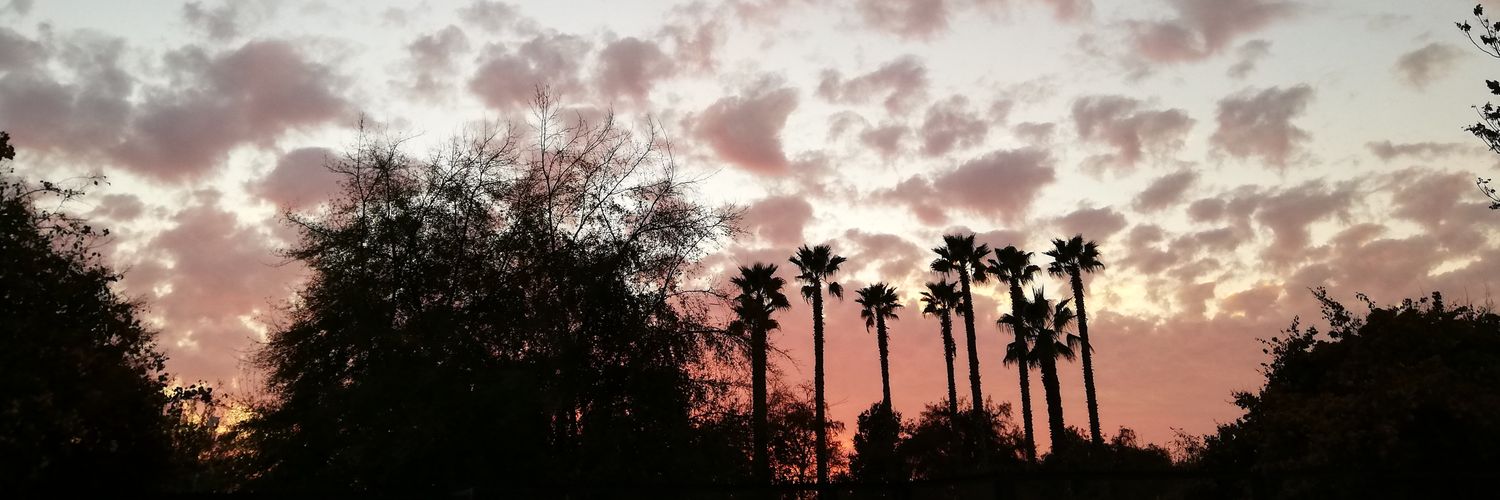 la_chasconaaa's profile banner image