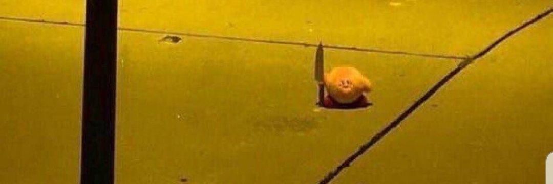 H. Green 🇺🇸 banner