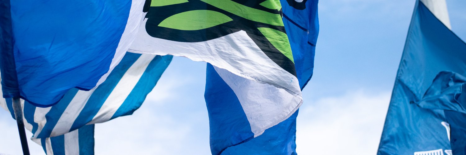 WalleeArts's profile banner image