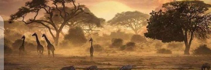 SamGathia's profile banner image