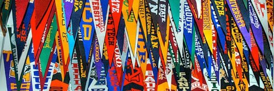 Alisa Forts-James banner