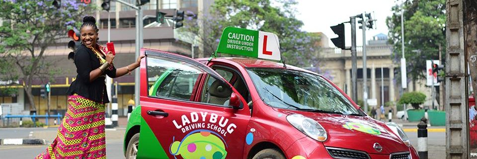 findladybug's profile banner image