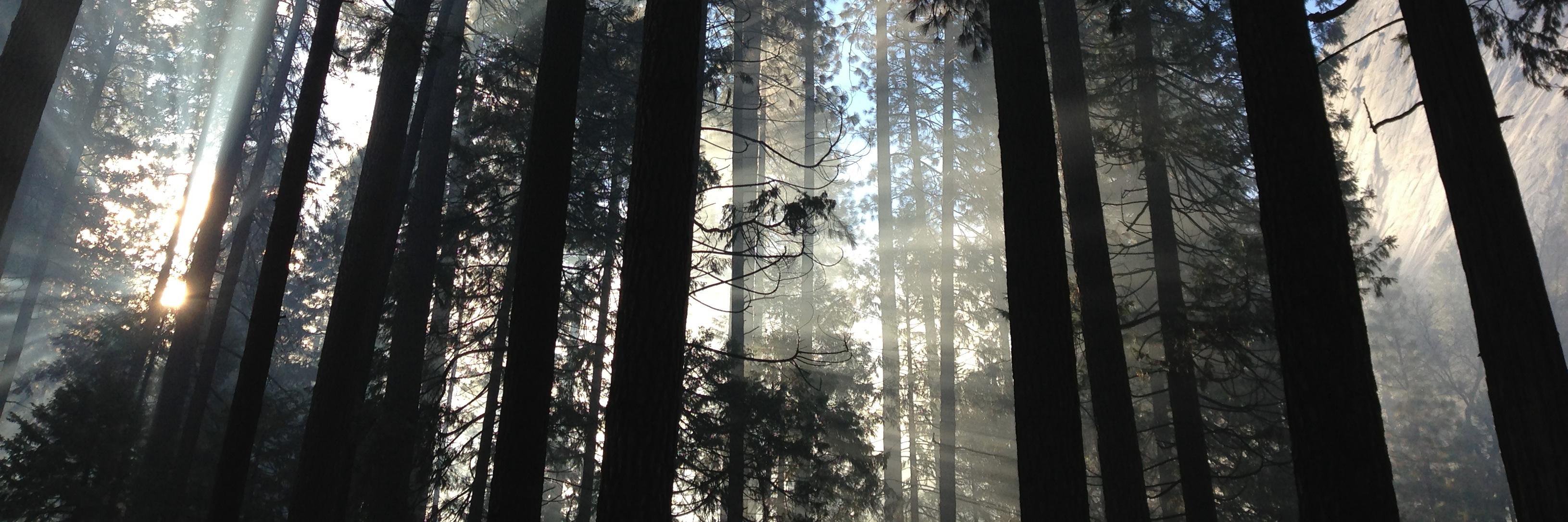 Humans in Nature banner