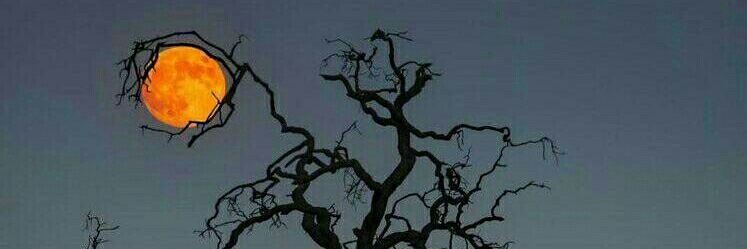 teken_14's profile banner image