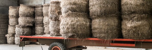 TerredeLin Profile Banner