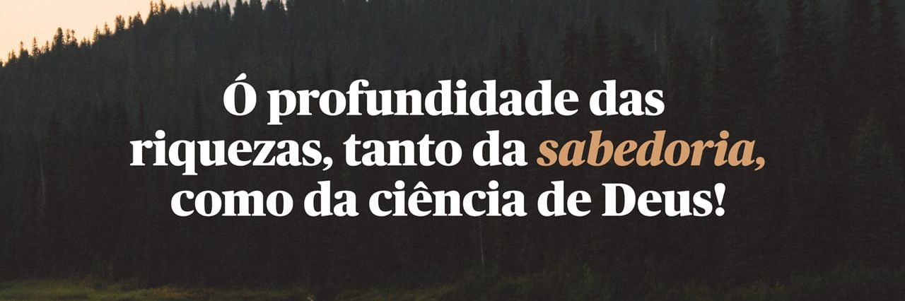 mateusvitor510's profile banner image