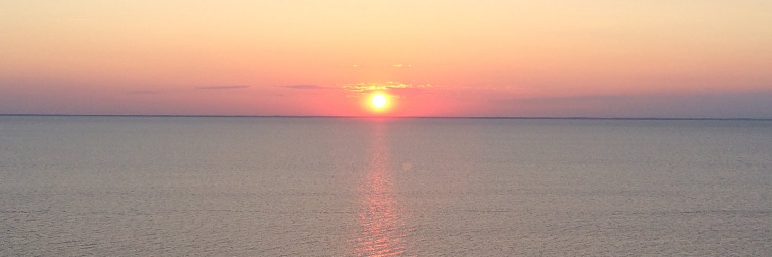 MrsNelsonGrade1's profile banner image