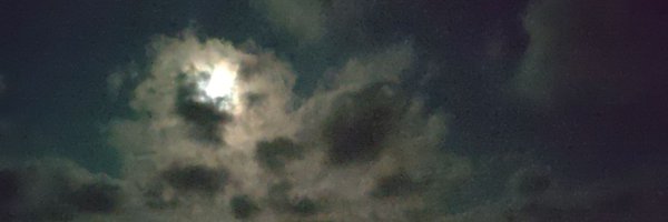 Sadler08 Profile Banner