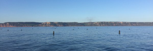 DaniBridger Profile Banner