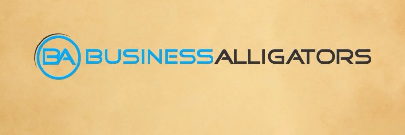 BAlligators's profile banner image