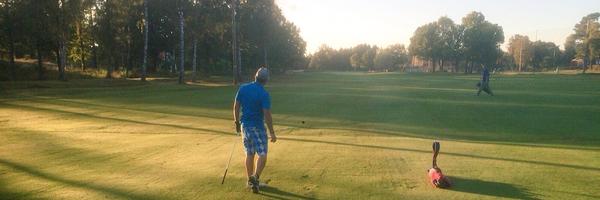 JeffsSteve Profile Banner