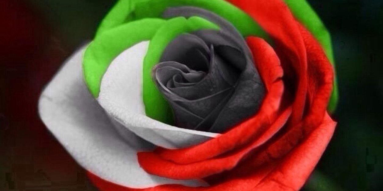 فارس الدواي banner