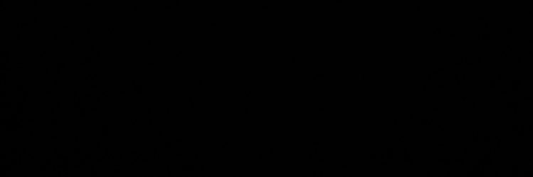 CaptDee banner