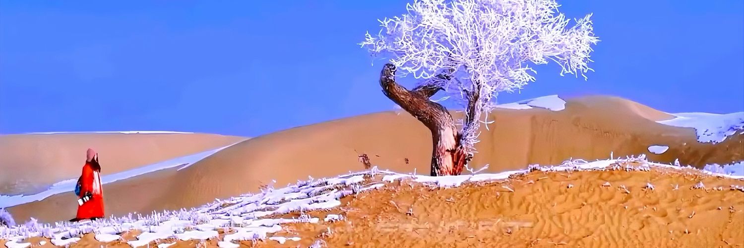 ęłïxmł🐥 banner