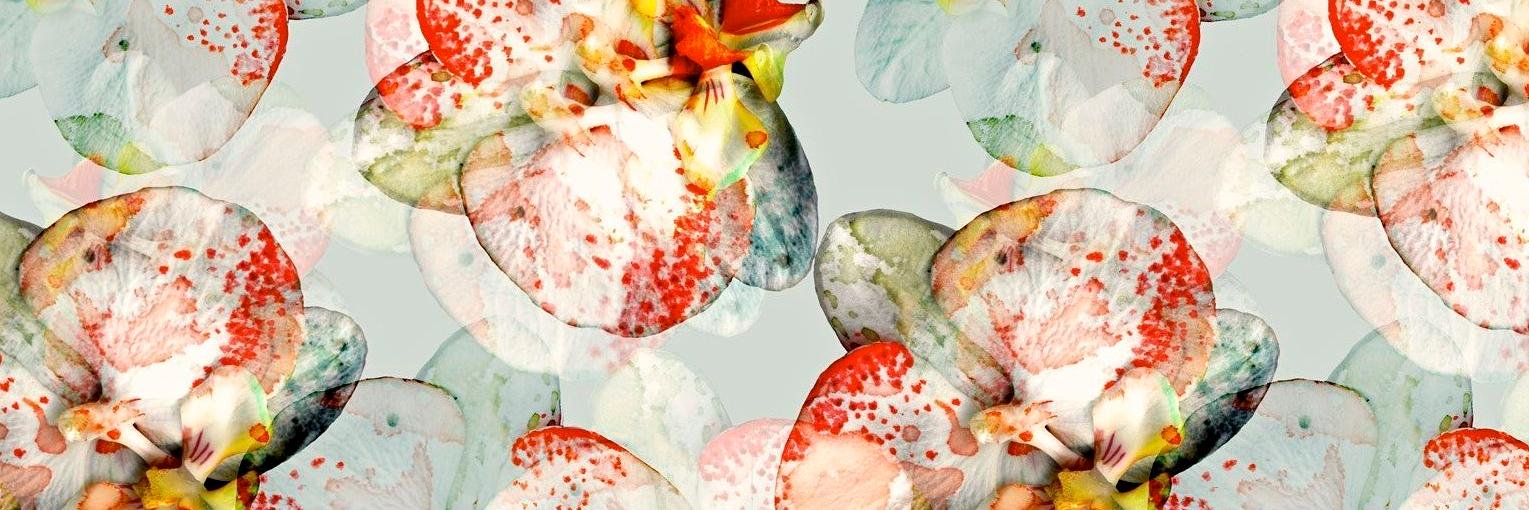 julialbarracinn's profile banner image