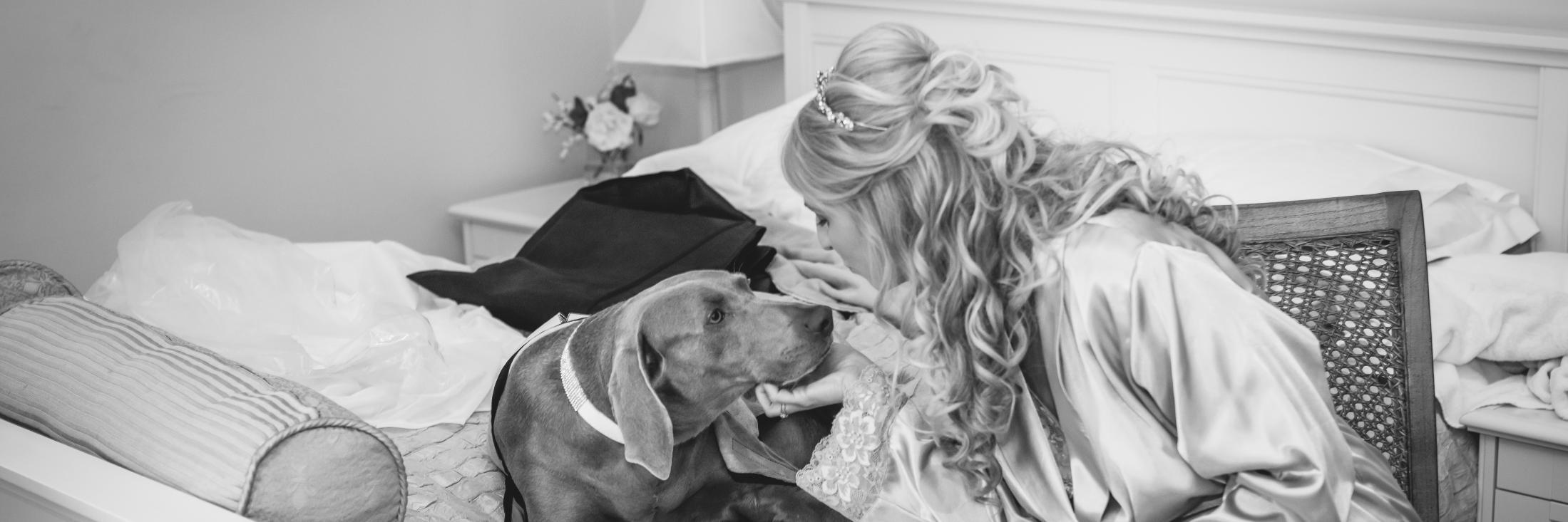 GillianThomas33's profile banner image