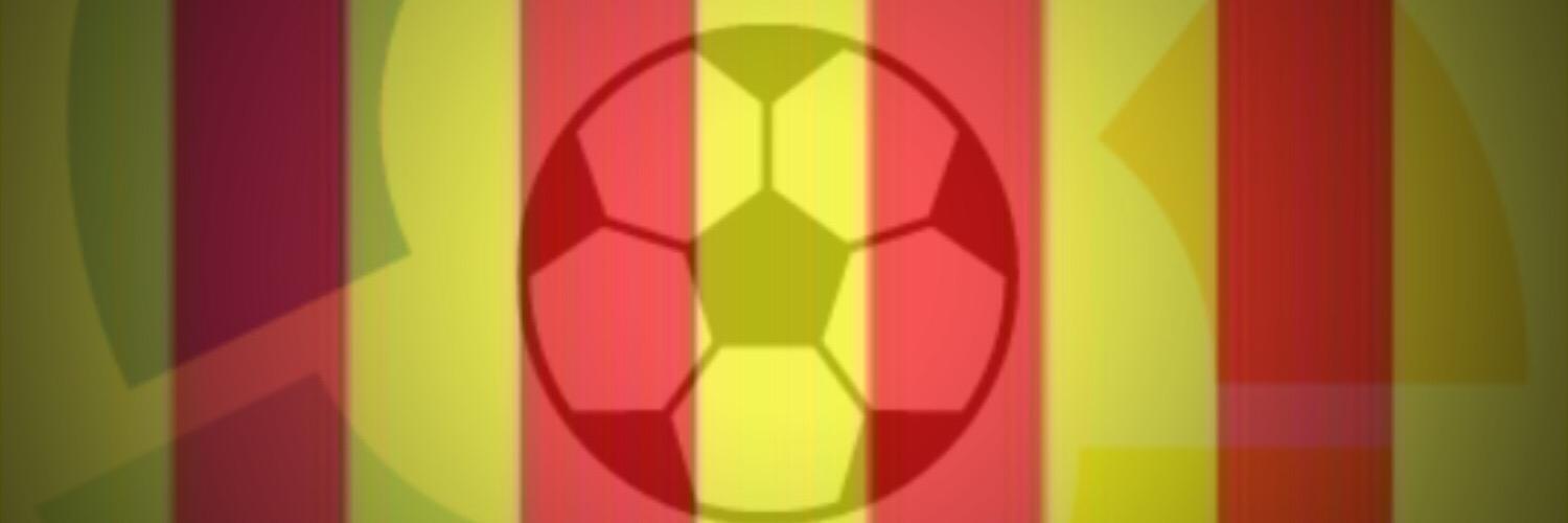 SegonaCAT's profile banner image