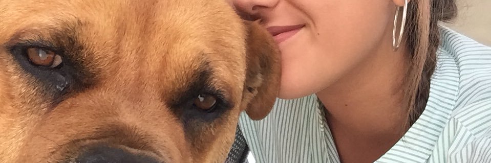pauladeeme's profile banner image