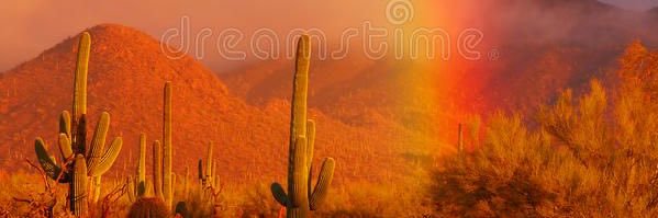 cmizexo's profile banner image