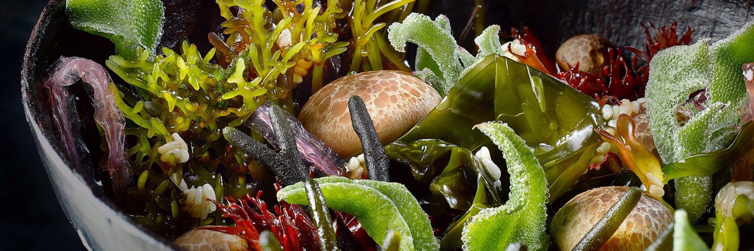 Javier Peñas banner