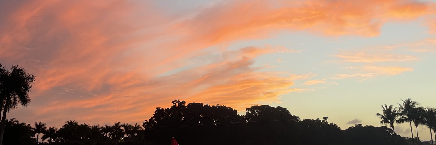 PeanutButler4's profile banner image
