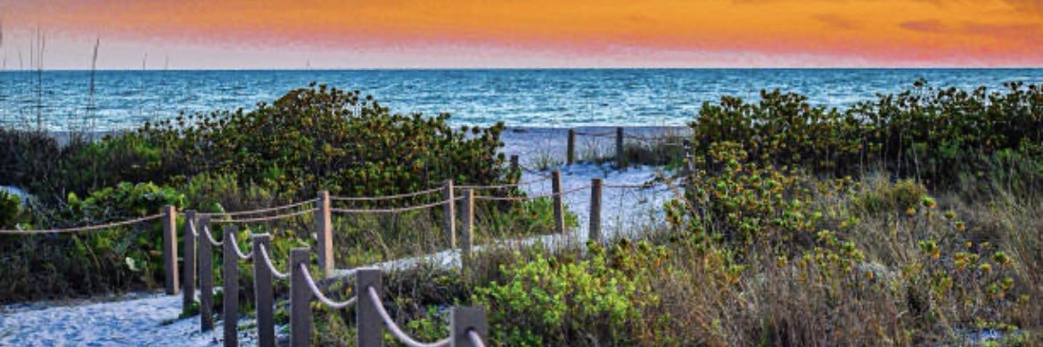 Dr. Amy M. Shutt banner