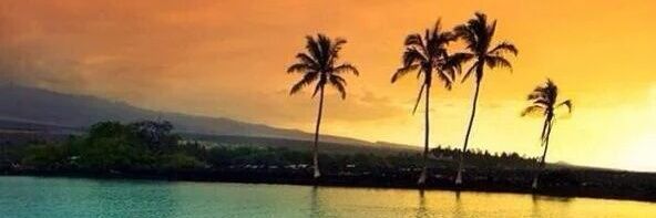 a_mcgillen's profile banner image