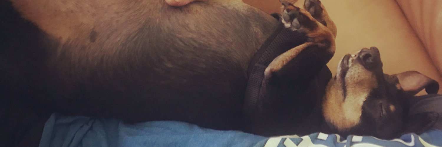 Britt_Rizzo's profile banner image