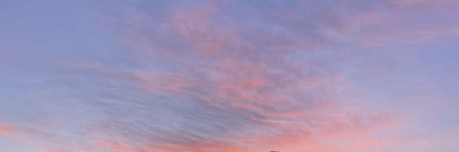 sel’ banner