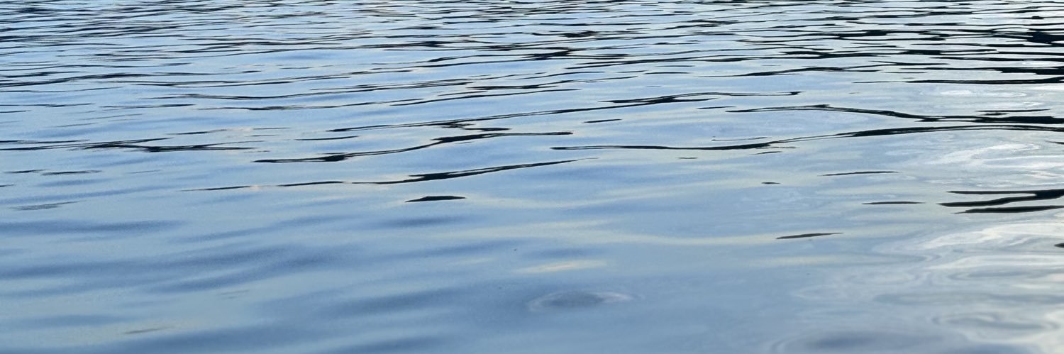 mareseese's profile banner image